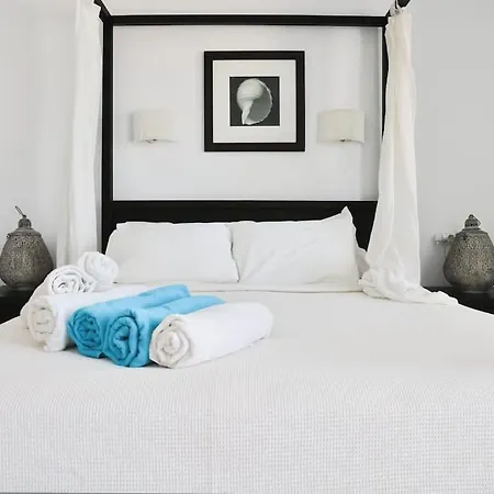 Villa Alena Mykonos